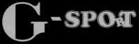 gsport_logo.jpg (12628 bytes)